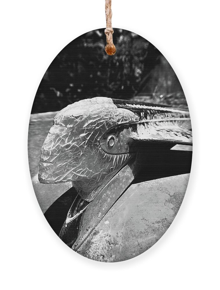 Ornament Ornament featuring the photograph Hood Ornament Detail by Matthew Mezo