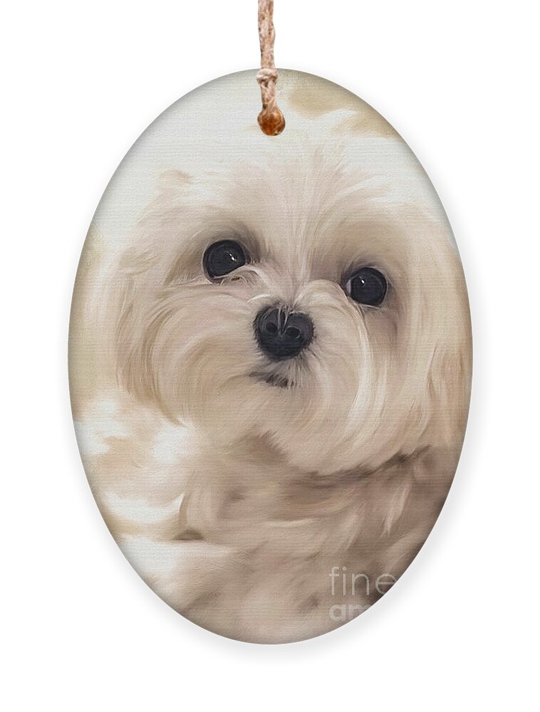 Maltese Ornament featuring the digital art Hoping For A Cookie by Lois Bryan