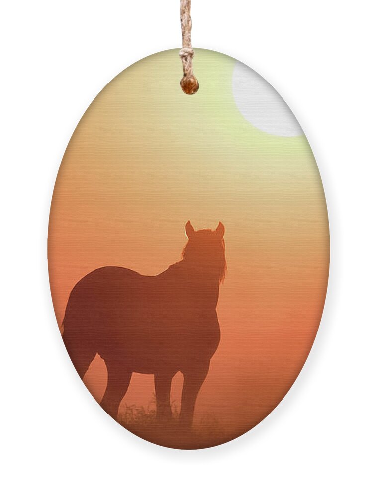 Silhouette Ornament featuring the photograph Horse Silhouette by Wesley Aston