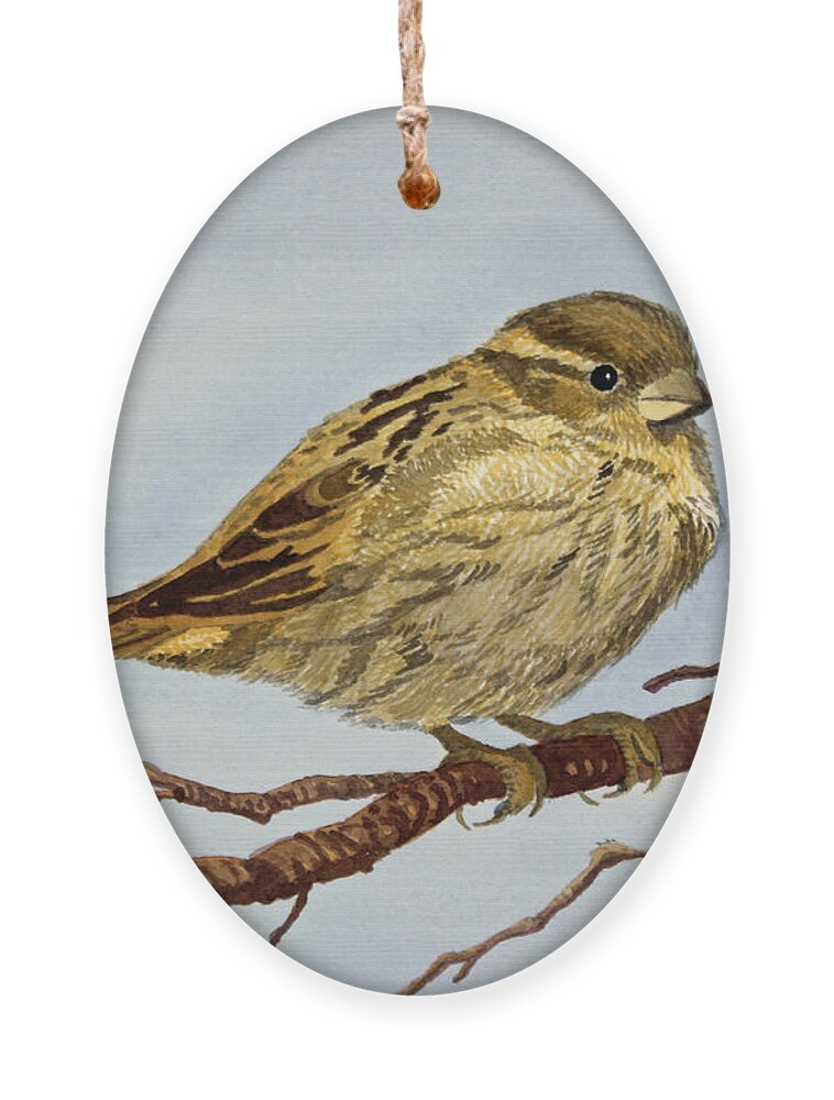  Sparrow Ornament featuring the painting House Sparrow by Norma Appleton