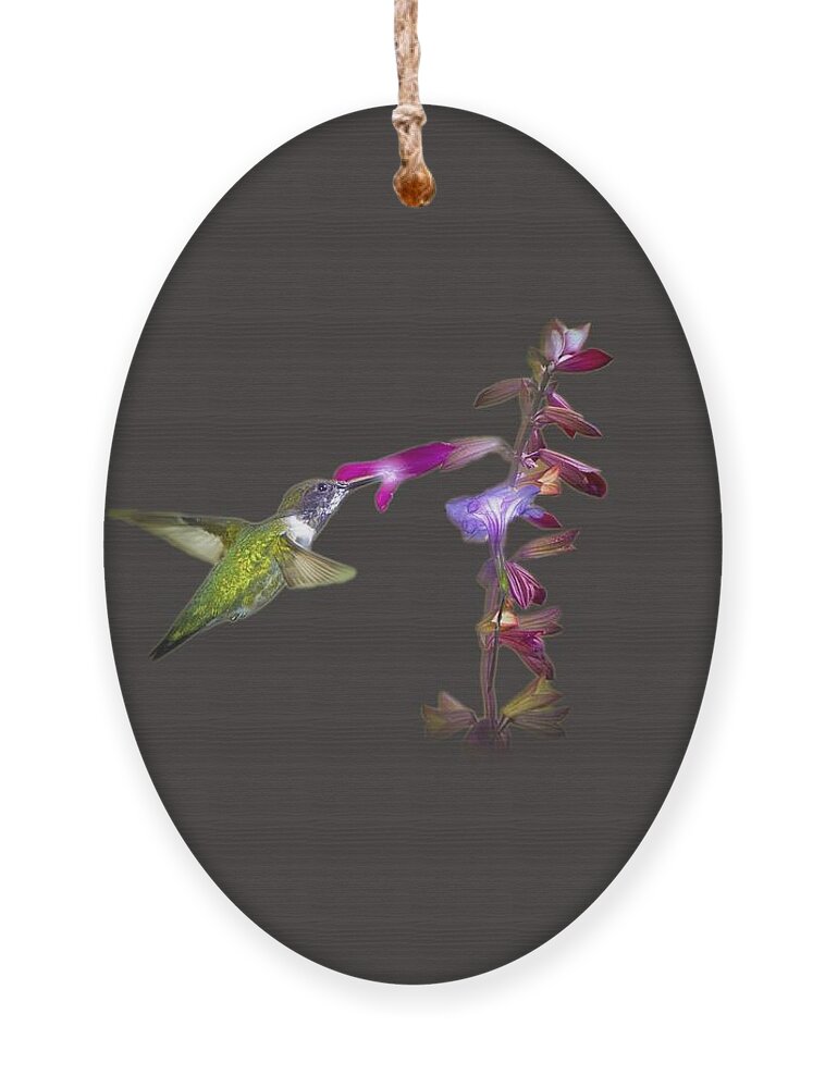 Hummingbird Ornament featuring the photograph Hummingbird Design by Mark Andrew Thomas