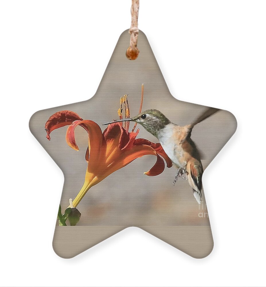 Hummingbird Ornament featuring the photograph Hummingbird Whisper by Carol Groenen
