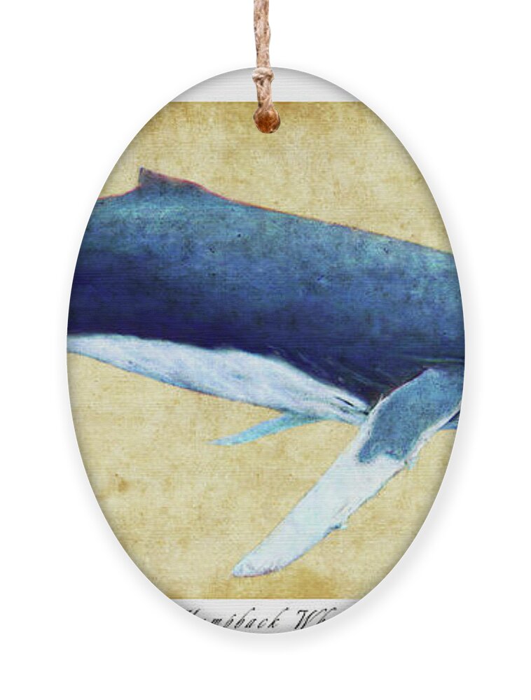 Humpback Ornament featuring the photograph Humpback Whale painting - framed by Weston Westmoreland