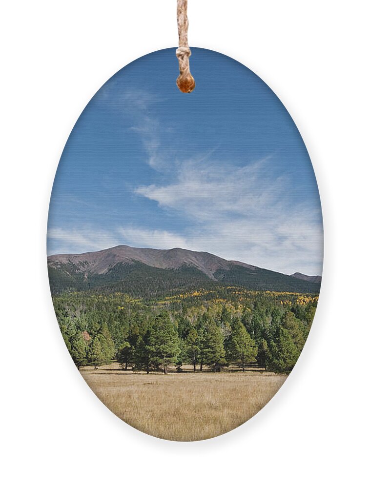 Arizona Ornament featuring the photograph Humphreys Peak from Hart Prairie by Jeff Goulden