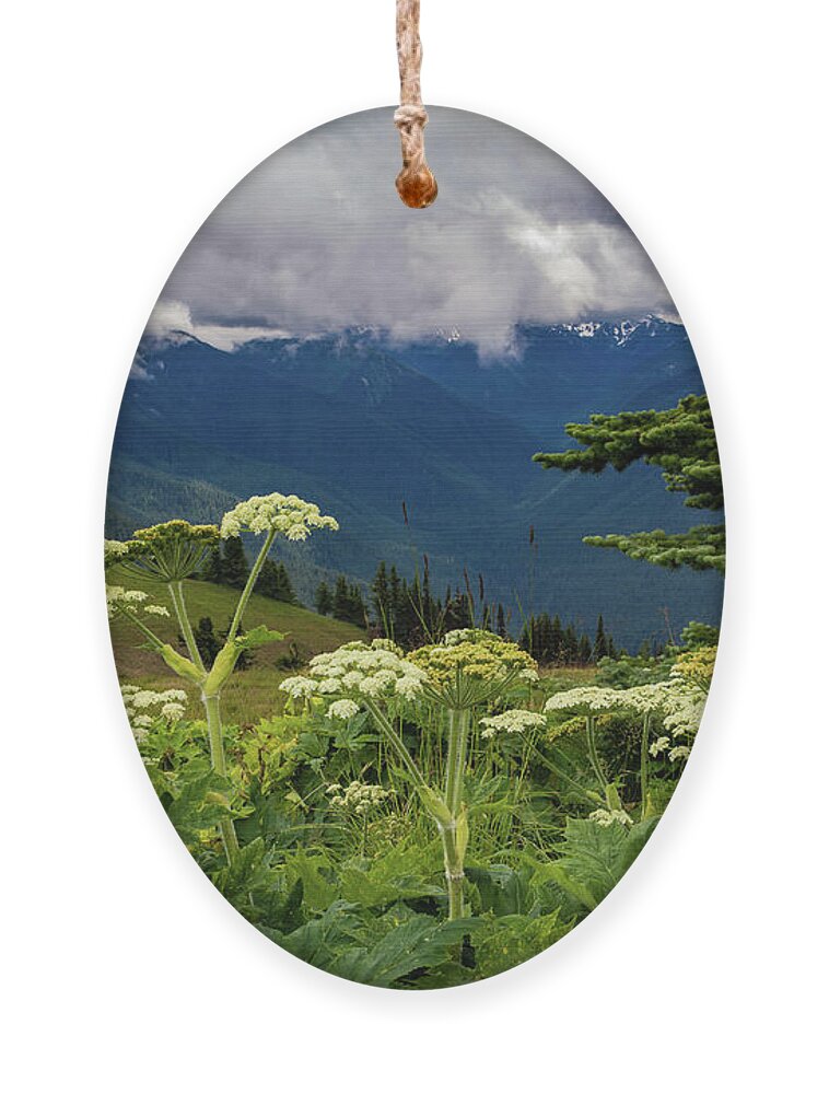 Hurricane Ridge Ornament featuring the photograph Hurricane Ridge Wildflowers and Clouds by Roslyn Wilkins