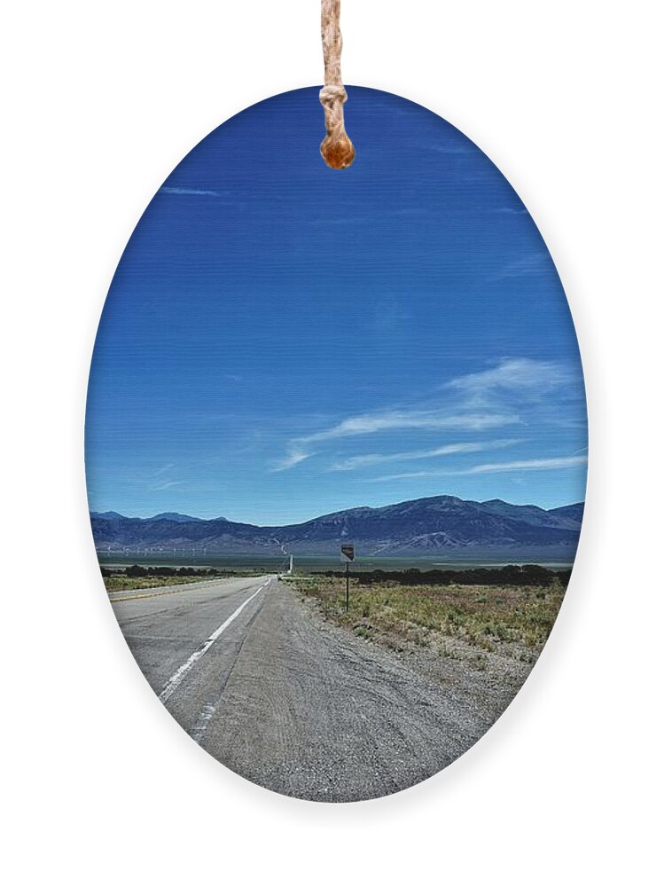 Nevada Ornament featuring the photograph HWY 50, Nevada by Merle Grenz