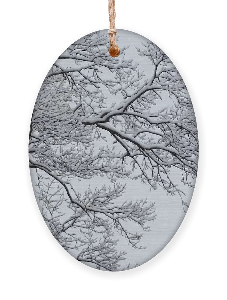 Ice Ornament featuring the photograph Icey Winter Branch by Vic Ritchey