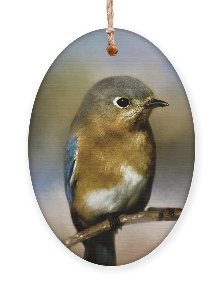Animal Ornament featuring the photograph I'm a Bluebird by Lana Trussell