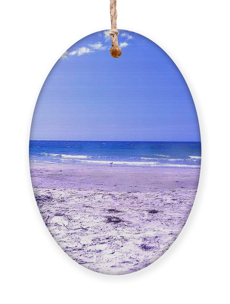Beach Ornament featuring the photograph Indian Rocks Beach by Suzanne Berthier