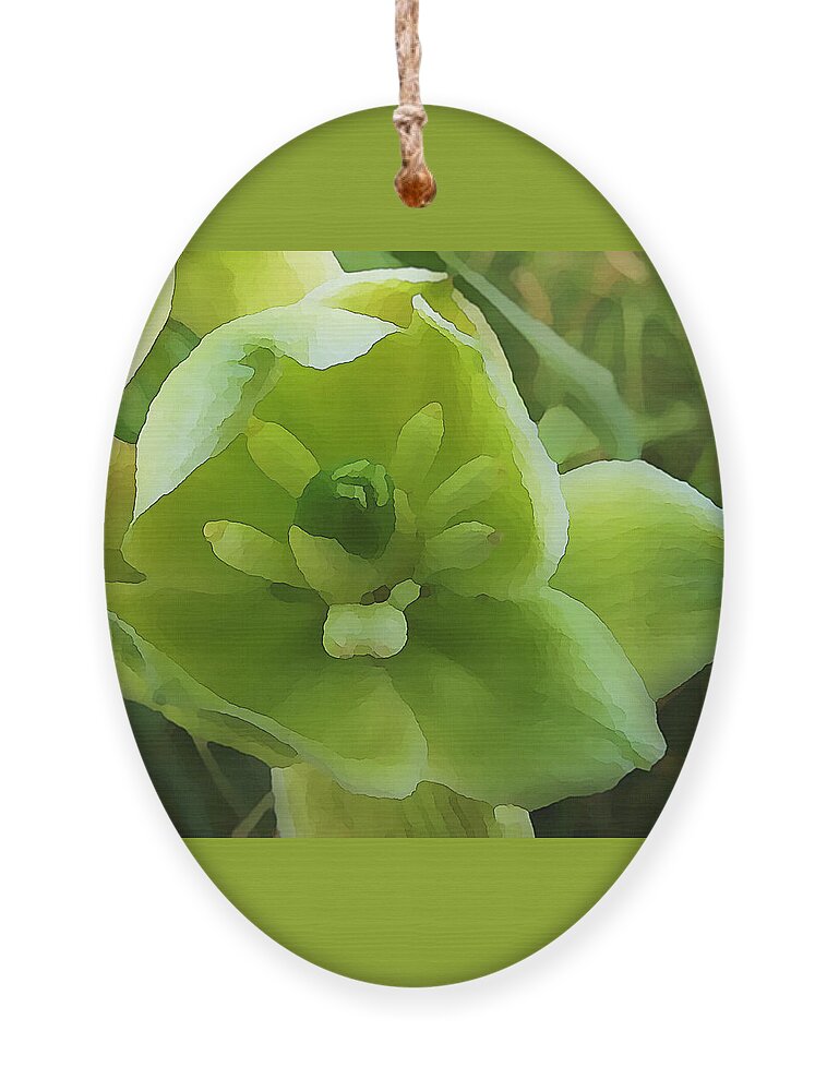 Botanical Ornament featuring the mixed media Inside a Yucca Bell Flower by Shelli Fitzpatrick