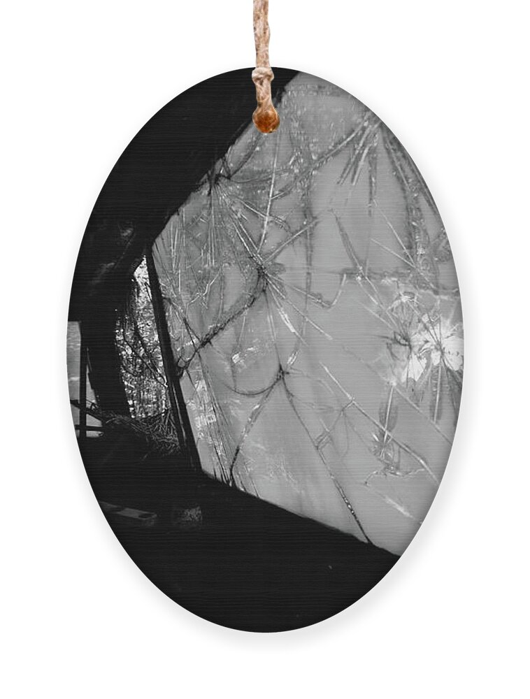 Car Ornament featuring the photograph Interior in Gray by Matthew Mezo