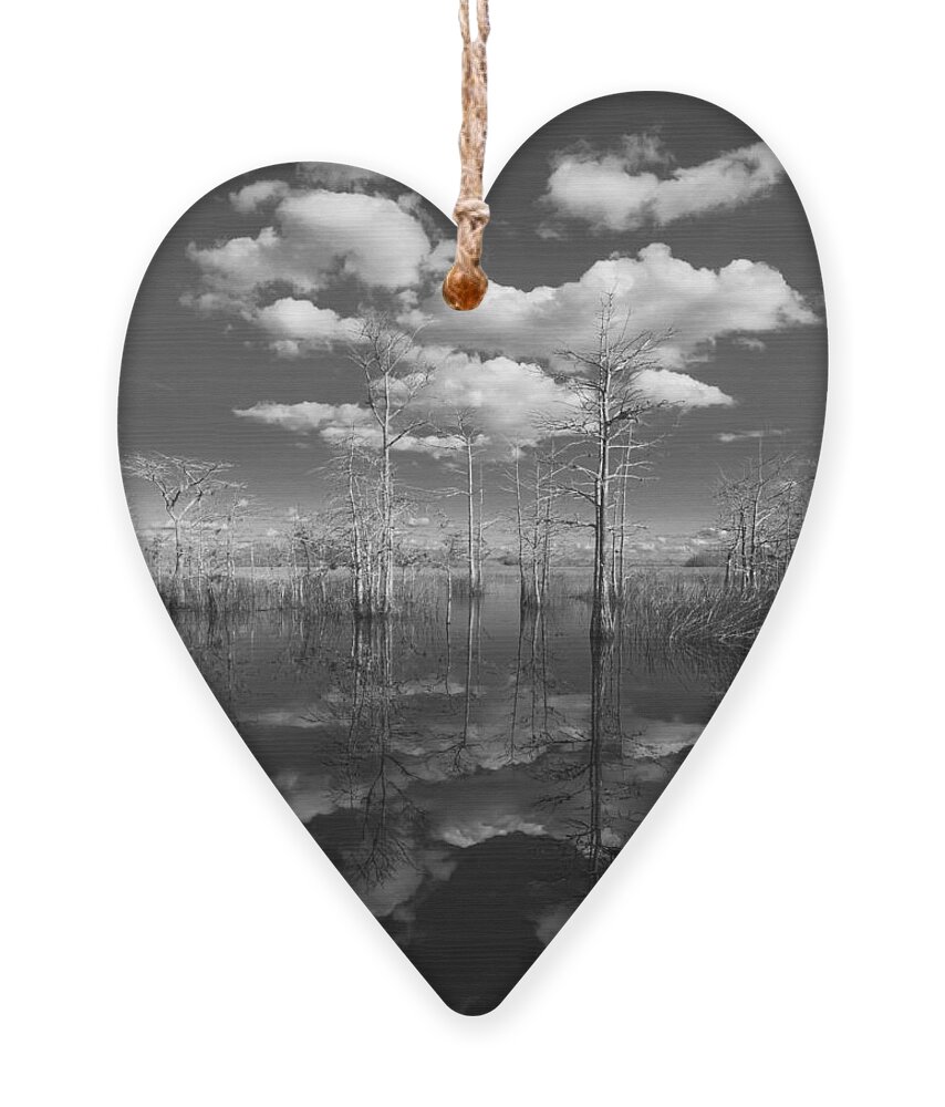 Black Ornament featuring the photograph Into The Everglades by Debra and Dave Vanderlaan