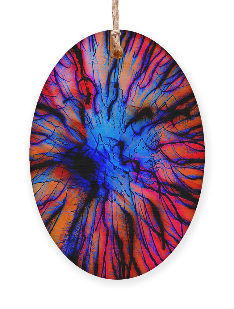 Firework Ornament featuring the photograph It Came Out Of The Blue by Leah McPhail