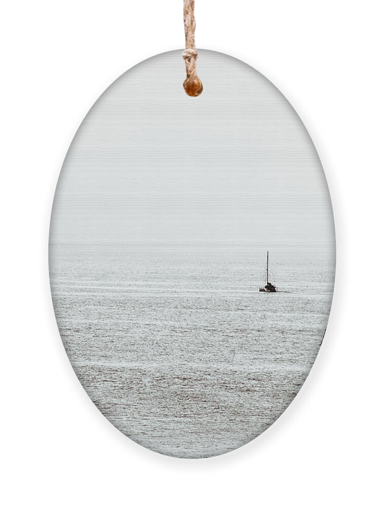 2015 Ornament featuring the photograph Its not far down to paradise by Wade Brooks