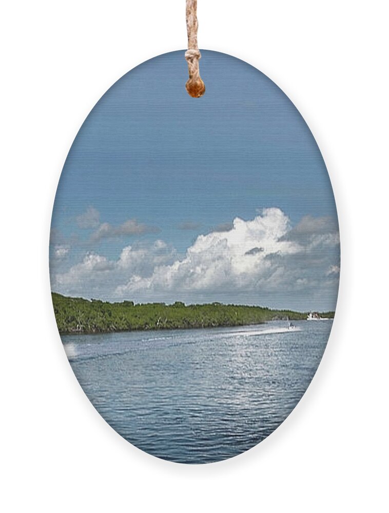 Jet Ski Ornament featuring the photograph Jet Skiing by Judy Hall-Folde