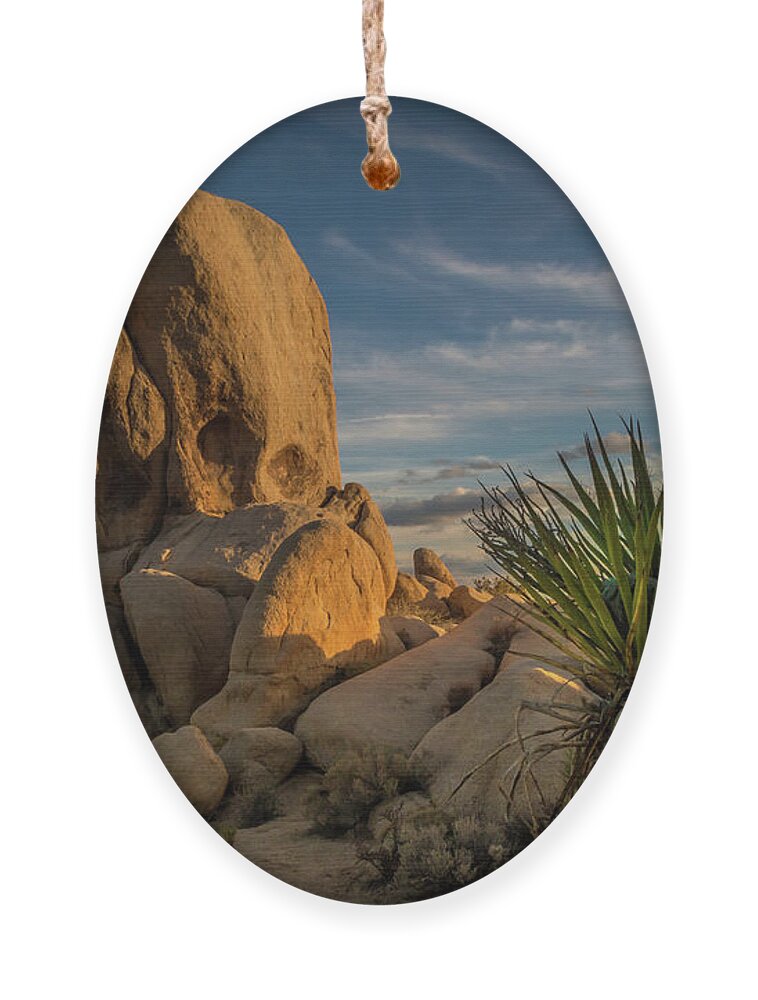 Joshua Tree Ornament featuring the photograph Joshua Tree Rock Formation by Ed Clark