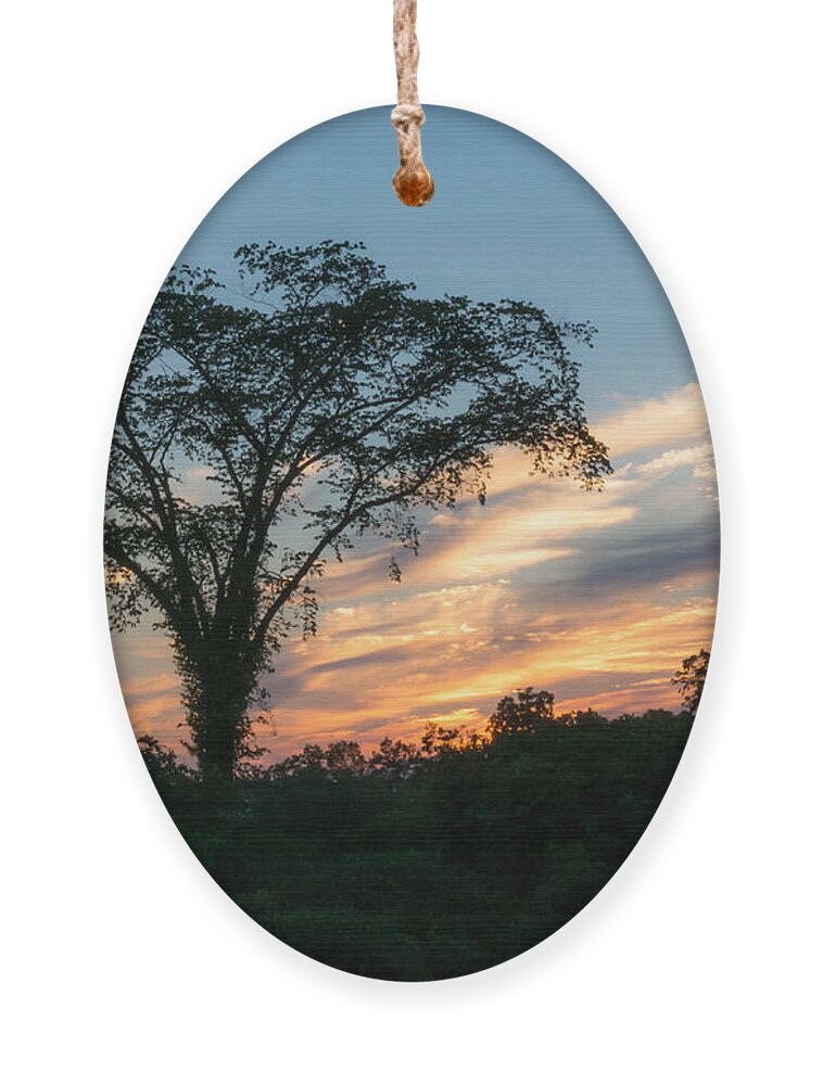 Sunset Ornament featuring the photograph July Sunset by Holden The Moment