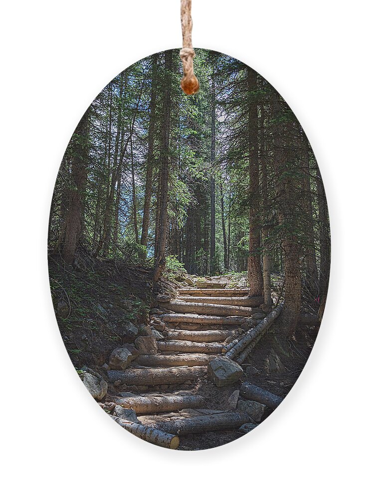 Natural Ornament featuring the photograph Just Another Stairway To Heaven by James BO Insogna