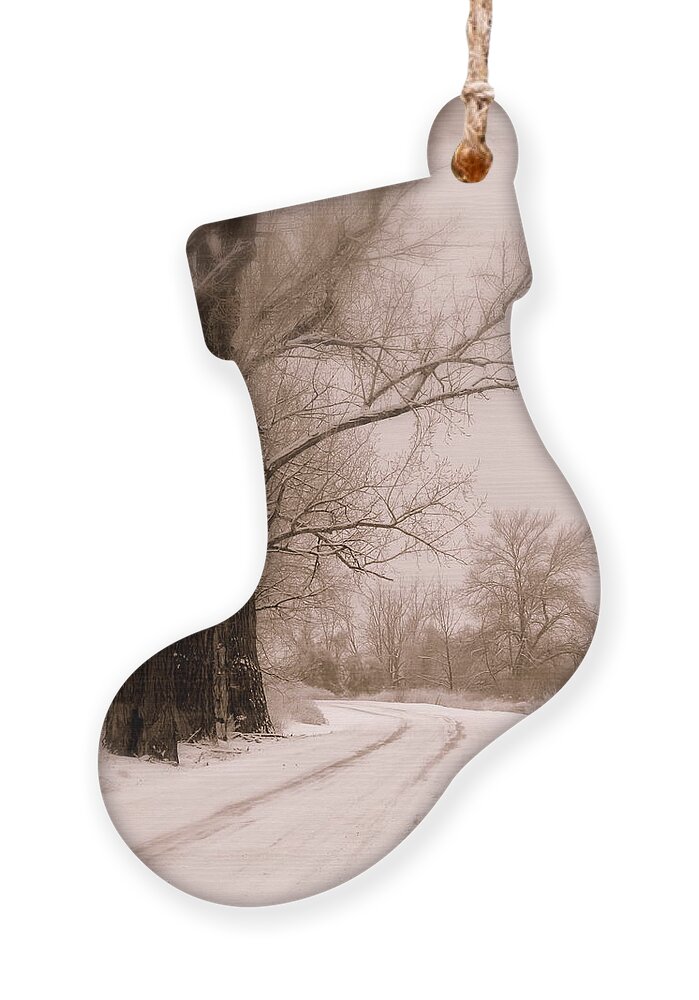 Winter Ornament featuring the photograph Just Around the Bend by Carol Groenen