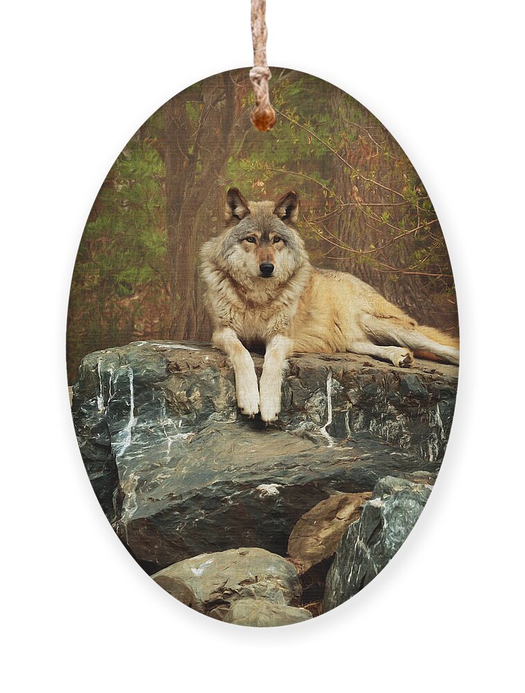 Animal Ornament featuring the photograph Just Chilling by Susan Rissi Tregoning