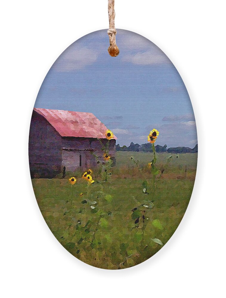 Landscape Ornament featuring the photograph Kansas Landscape by Steve Karol