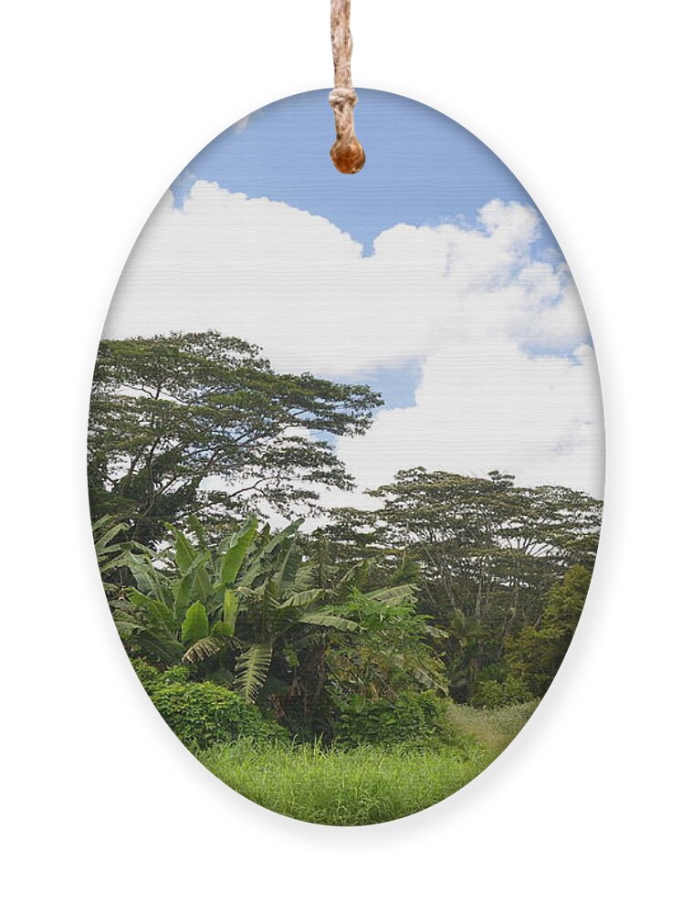 Kauai Ornament featuring the photograph Kauai Hindu Monastery Greenery 2 by Amy Fose
