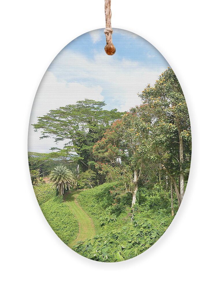 Kauai Ornament featuring the photograph Kauai Hindu Monastery Trail 2 by Amy Fose