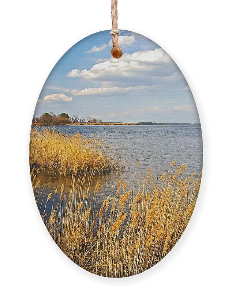 2d Ornament featuring the photograph Kent Island by Brian Wallace