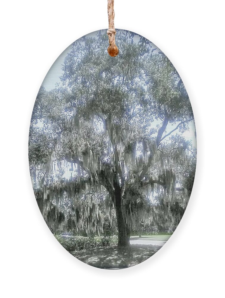 Tree. Florida Ornament featuring the photograph Largo's Spanish Moss by Suzanne Berthier