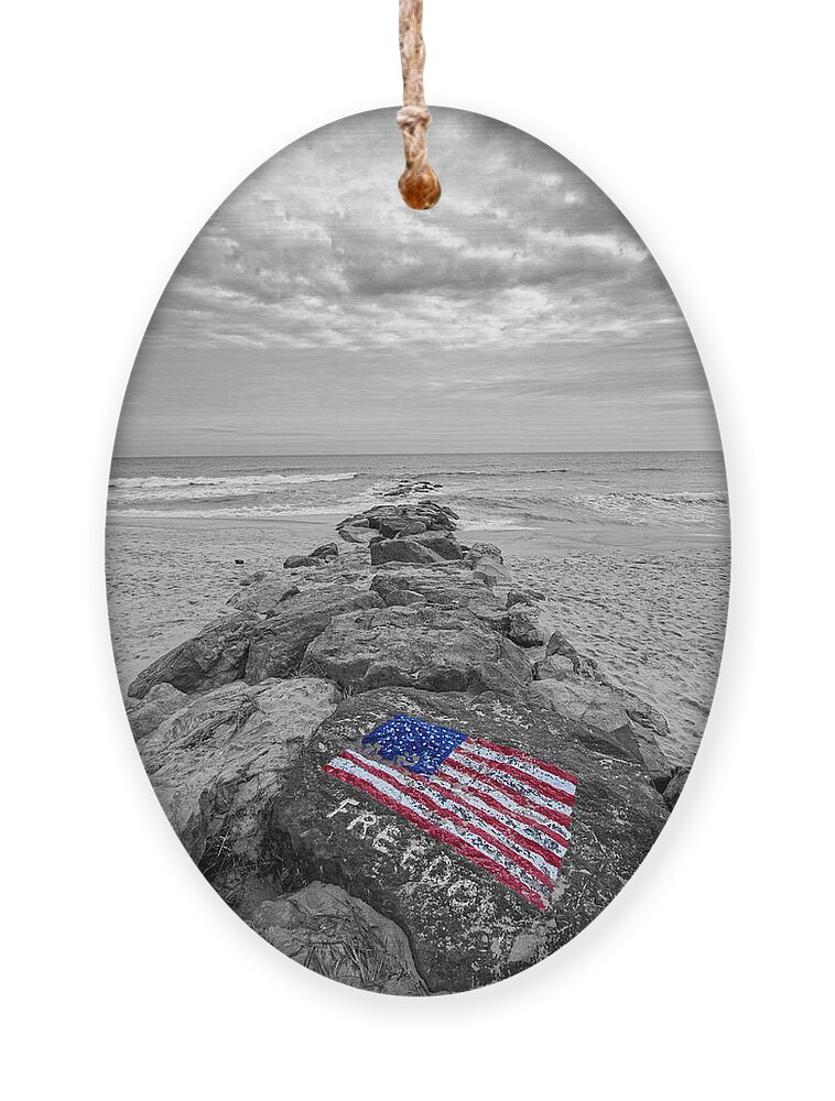 Lashley Ornament featuring the photograph Lashley Beach Freedom by Robert Seifert