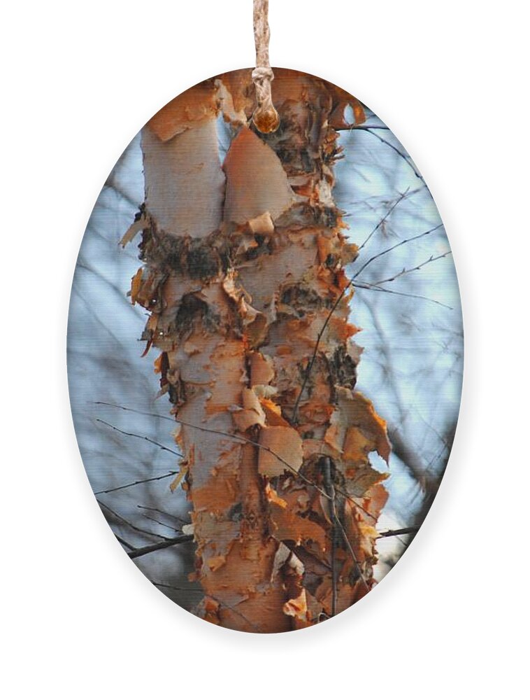 Layers Ornament featuring the photograph Layers by Jai Johnson