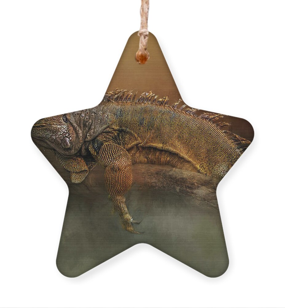 Amblyrhynchus Ornament featuring the photograph Lazy Day by Lana Trussell
