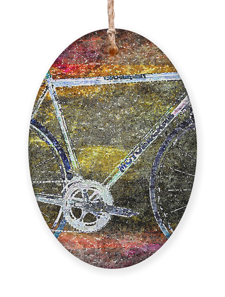 Bicycle Ornament featuring the photograph Le Champion by Julie Niemela