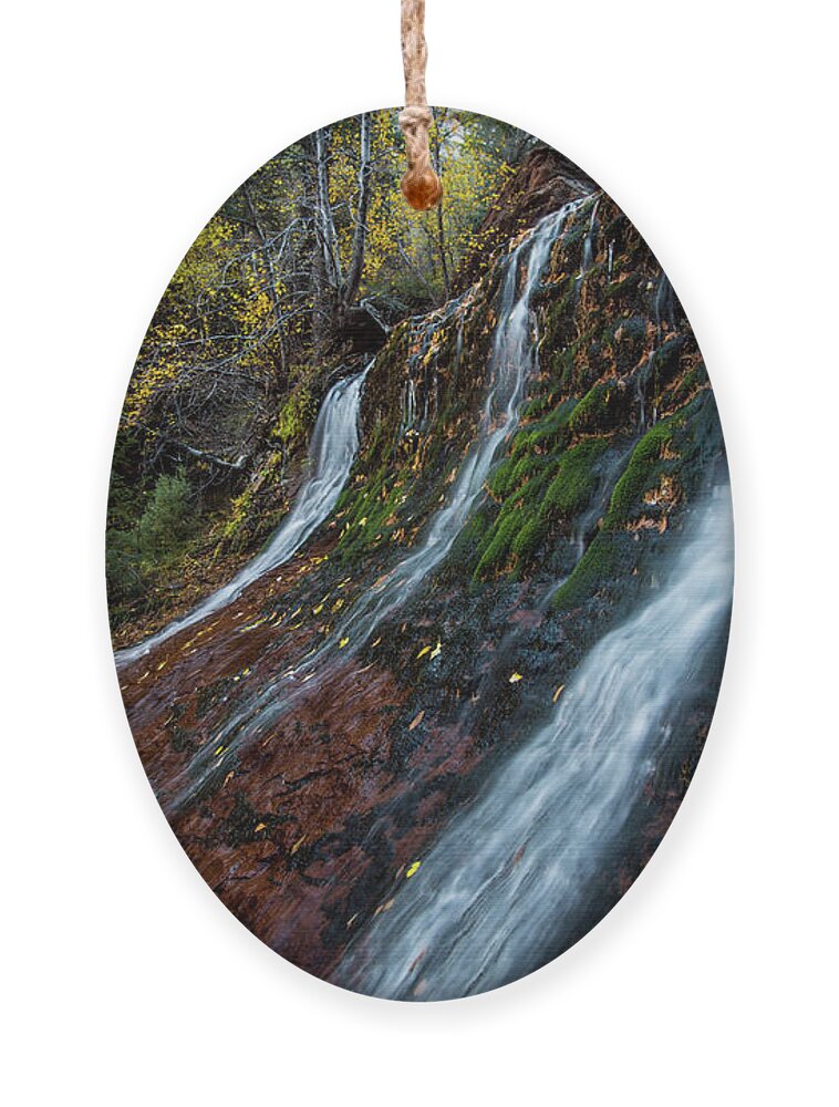 Waterfall Ornament featuring the photograph Left Fork Waterfall by Wesley Aston