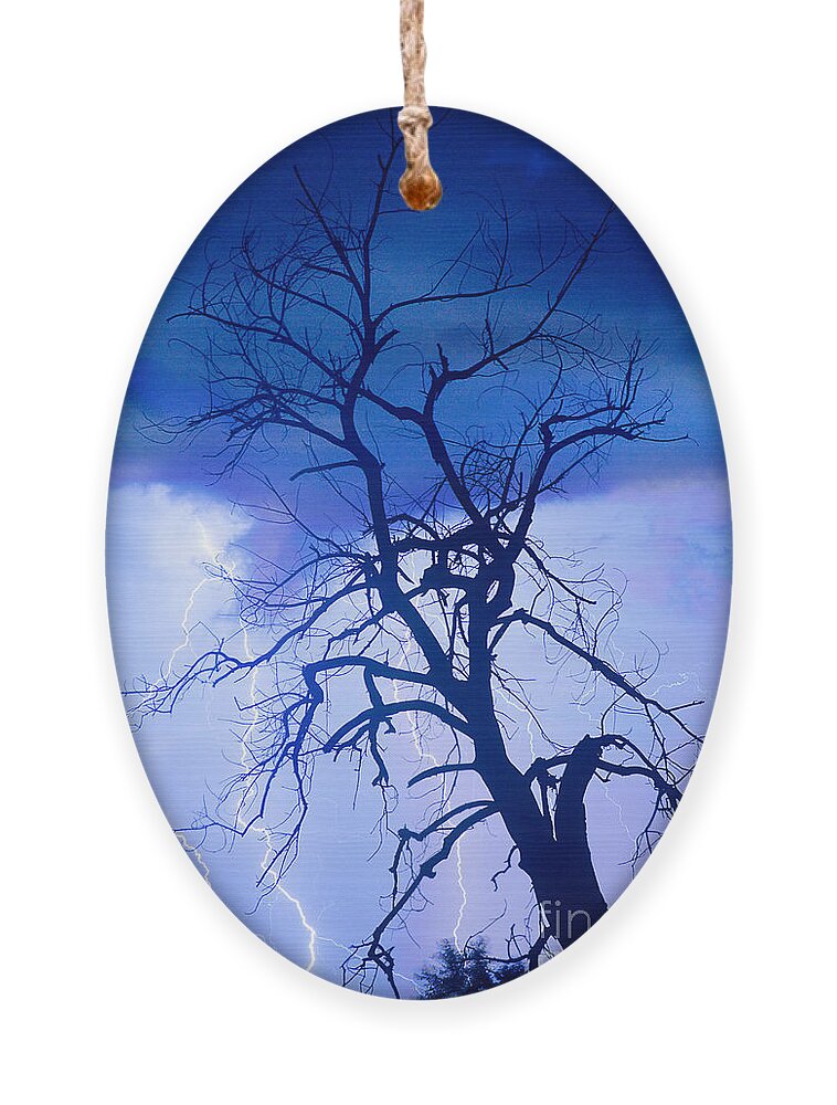 James Bo Insogna Ornament featuring the photograph Lightning Tree Silhouette Portrait by James BO Insogna