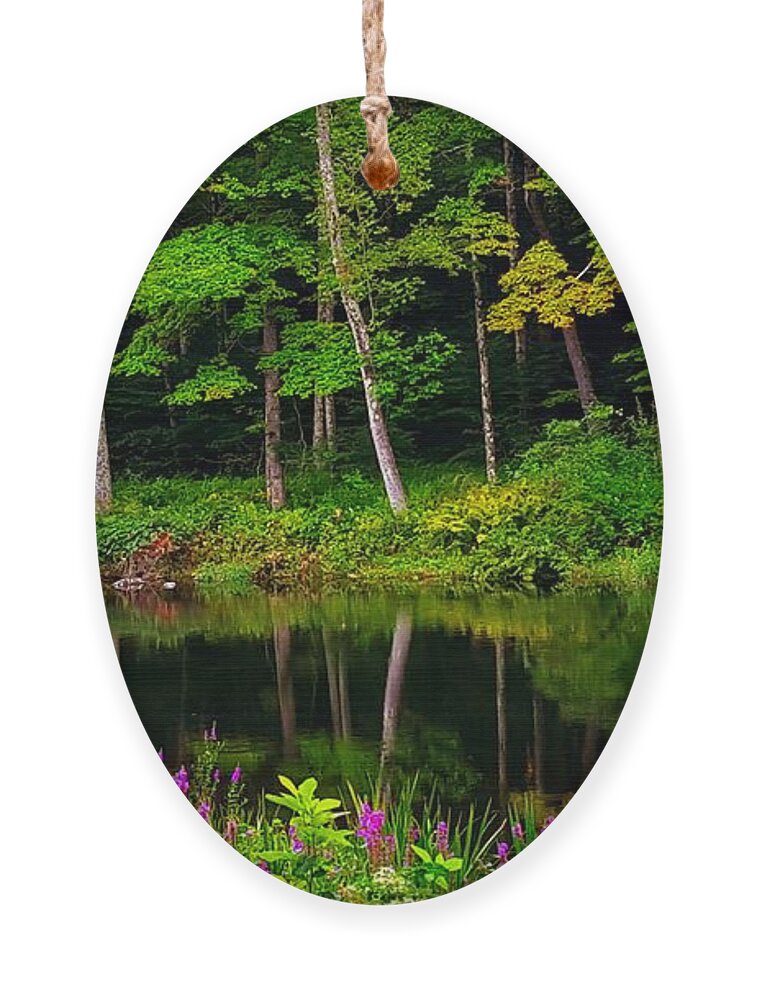 Landscape Ornament featuring the photograph Like A Fairy Tale by Dani McEvoy