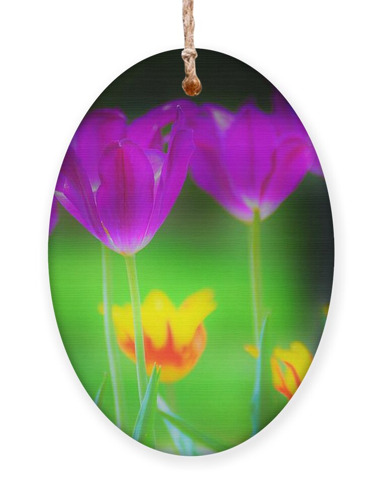 Flowers Ornament featuring the photograph Lite from Below by Merle Grenz