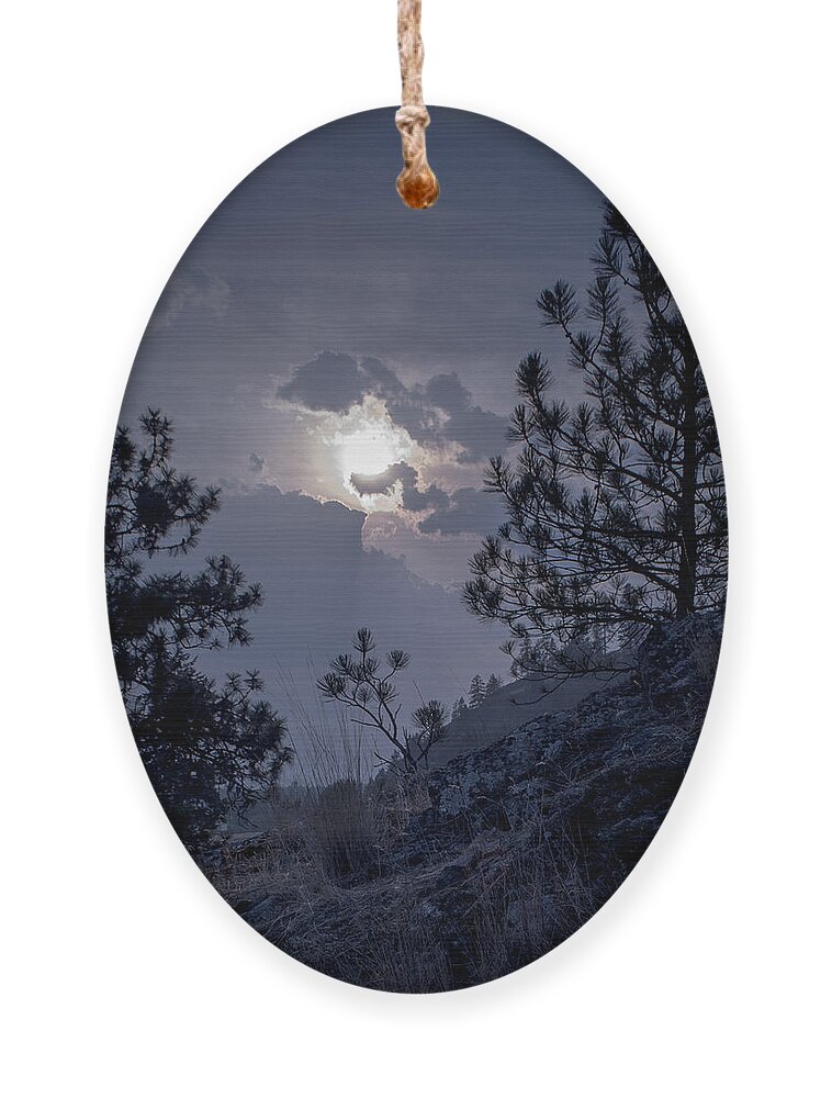 Rattlesnake Mt Ornament featuring the photograph Little Pine by Troy Stapek