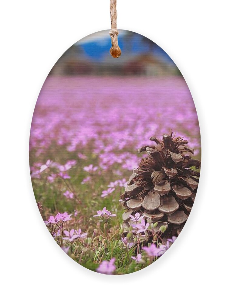 Pinecone Ornament featuring the photograph Pinecone In Pink by Brian Eberly