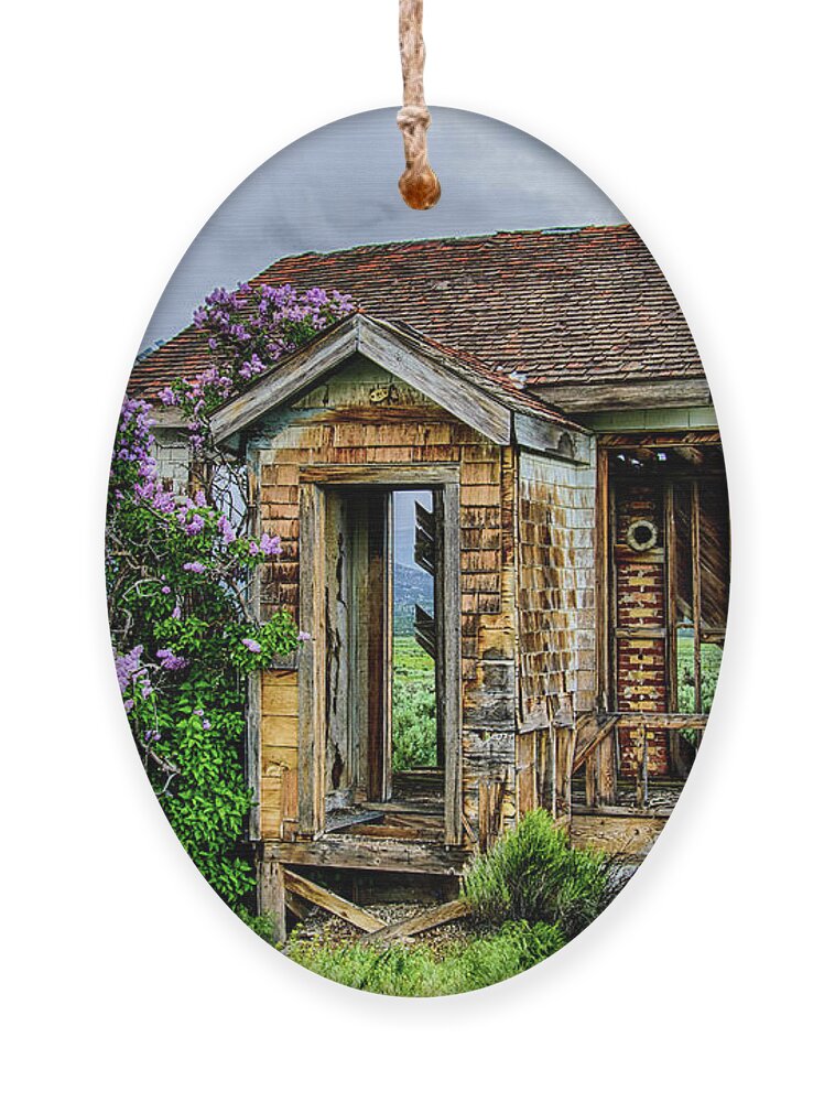 Abandoned Ornament featuring the photograph Lonely Lilacs by Bryan Carter