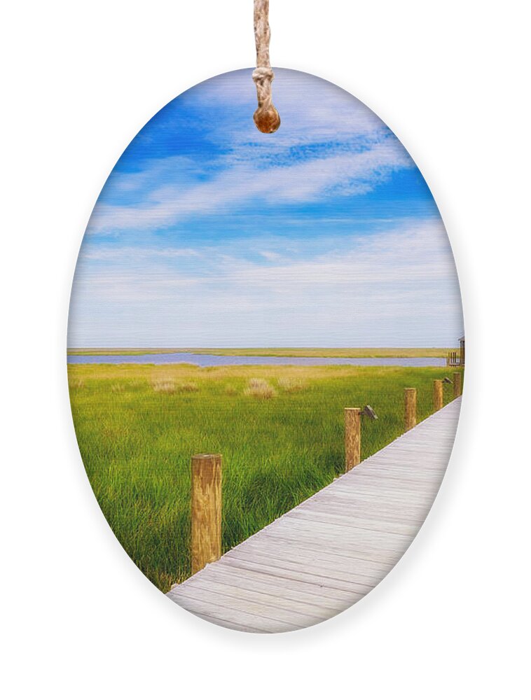Gulf Of Mexico Ornament featuring the photograph Lonely Pier II by Raul Rodriguez
