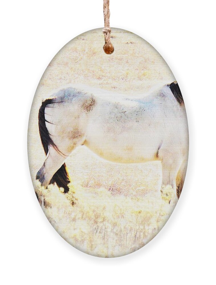 Horse Ornament featuring the photograph Looking Good by Merle Grenz