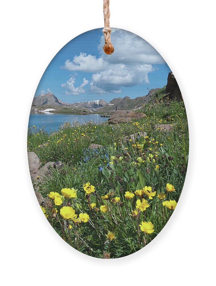 Lost Man Lake Ornament featuring the photograph Lost Man Lake with Bright Yellow Wildflowers by Cascade Colors
