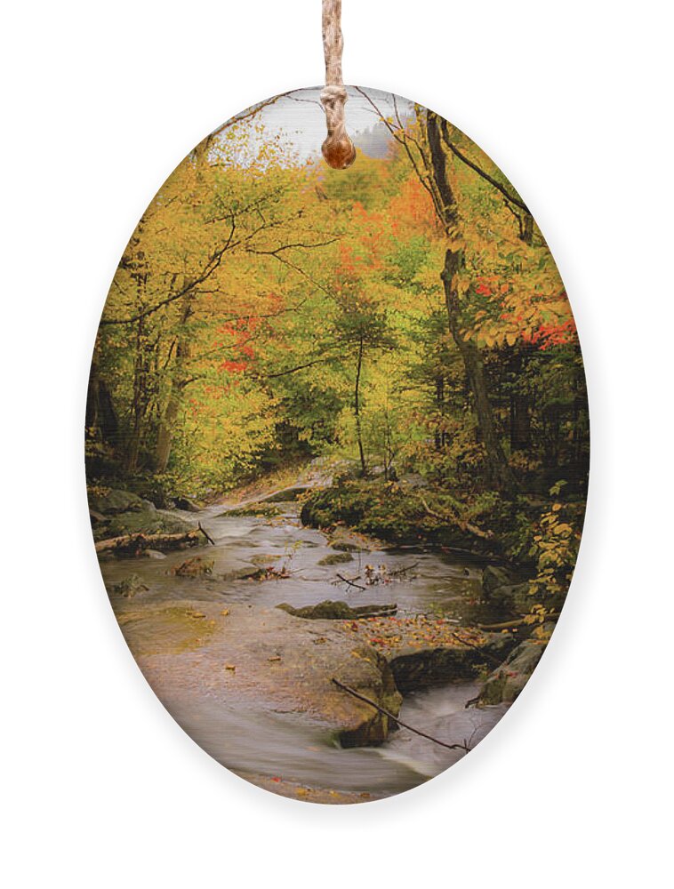 #jefffolger Ornament featuring the photograph Lost River Fall Colors by Jeff Folger