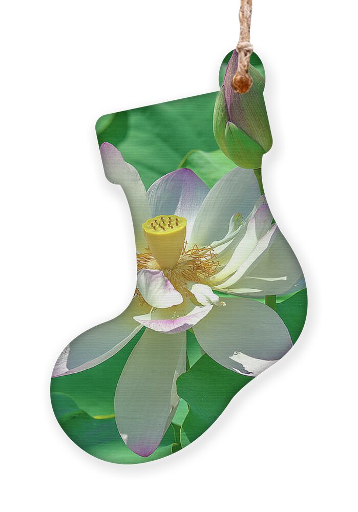 Lotus Ornament featuring the photograph Lotus--Fading i DL0079 by Gerry Gantt