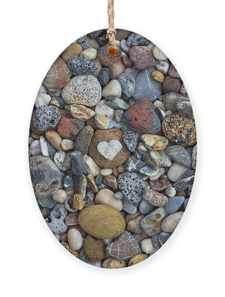 Heart Ornament featuring the photograph Love the Beach by Tim Gainey