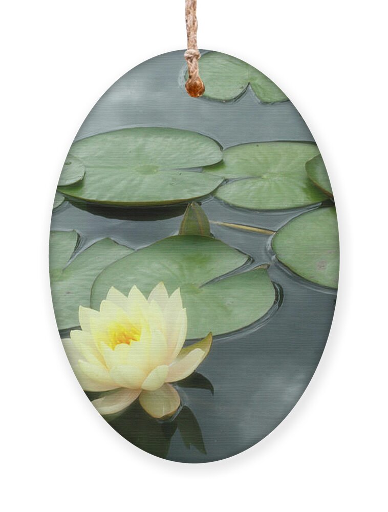 Yellow Ornament featuring the photograph Lovely Lotus by Cate Franklyn