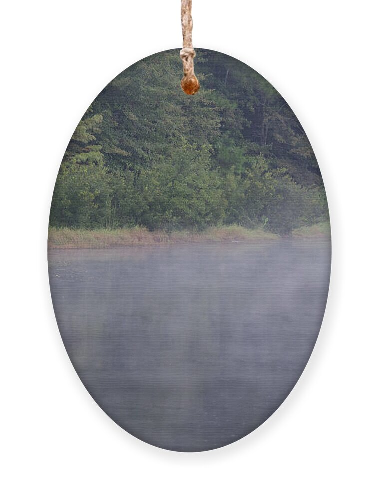 Fog Ornament featuring the photograph Lowcountry Morning Lake Fog by Dale Powell