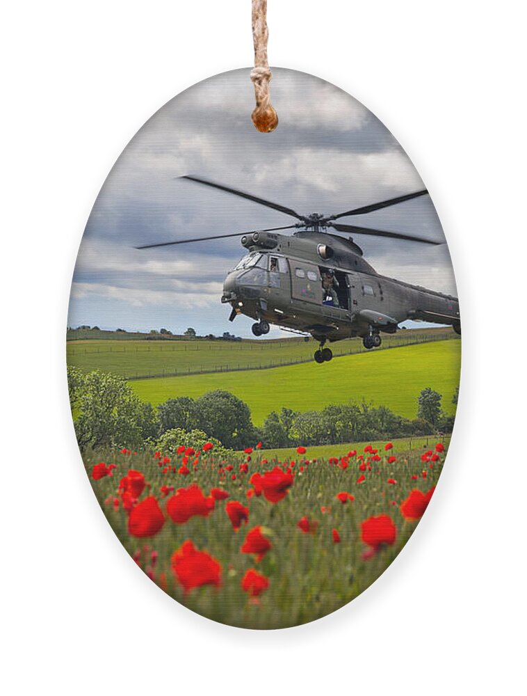 Raf Ornament featuring the digital art Loyalty by Airpower Art