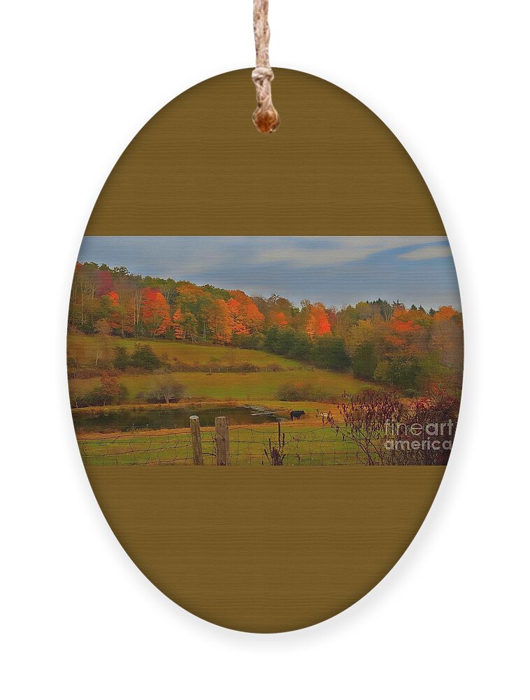 Autumn Ornament featuring the photograph Lucky Cow by Dani McEvoy